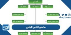 ما هو اللحن الجلي وحكم قراءه القران به 2025 1 ما هو اللحن الجلي وحكم قراءه القران به