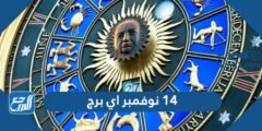 14 نوفمبر اي برج - 2025 1 14 نوفمبر اي برج - موقع المرجع