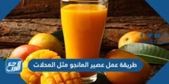 طريقة عمل عصير المانجو مثل المحلات
