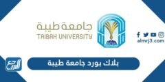 رابط بلاك بورد جامعة طيبة تسجيل الدخول taibah blackboard 2025 1 رابط بلاك بورد جامعة طيبة تسجيل الدخول taibah blackboard