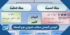 الوعي الصحي مطلب ضروري نوع الجملة 2025 2 الوعي الصحي مطلب ضروري نوع الجملة
