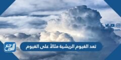 تعد الغيوم الريشية مثالاً على الغيوم 2025 2 تعد الغيوم الريشية مثالاً على الغيوم
