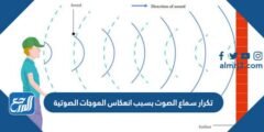 تكرار سماع الصوت بسبب انعكاس الموجات الصوتية 2025 1 تكرار سماع الصوت بسبب انعكاس الموجات الصوتية