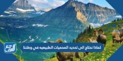 لماذا نحتاج الى تحديد المحميات الطبيعيه في وطننا 2025 1 لماذا نحتاج الى تحديد المحميات الطبيعيه في وطننا