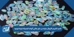 الحجر الكريم الأوبال عبارة عن ملح مائي ألوانه الجميلة نتيجة لوجود 2025 3 الحجر الكريم الأوبال عبارة عن ملح مائي ألوانه الجميلة نتيجة لوجود