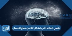 ماهي الماده التي تشكل 80 من دماغ الانسان 2025 2 ماهي الماده التي تشكل 80 من دماغ الانسان