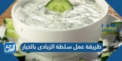 طريقة عمل سلطة الزبادي بالخيار بطريقة صحية تصلح للدايت بـ 5 وصفات مختلفة 2025 2 طريقة عمل سلطة الزبادي بالخيار