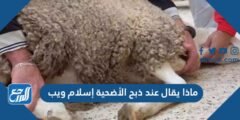 ماذا يقال عند ذبح الأضحية إسلام ويب