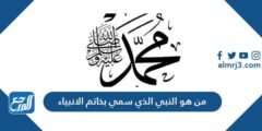 من هو النبي الذي سمي بخاتم الانبياء 2025 1 من هو النبي الذي سمي بخاتم الانبياء