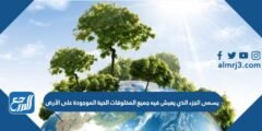 يسمى الجزء الذي يعيش فيه جميع المخلوقات الحية الموجودة على الأرض 2025 2 يسمى الجزء الذي يعيش فيه جميع المخلوقات الحية الموجودة على الأرض