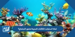 لماذا استجابت الكائنات البحرية لحضور الاجتماع ؟