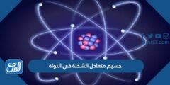 جسيم متعادل الشحنة في النواة 2025 3 جسيم متعادل الشحنة في النواة