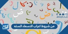 من شروط اعراب الاسماء السته 2025 3 من شروط اعراب الاسماء السته