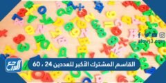 القاسم المشترك الأكبر للعددين ٢٤ ، ٦٠ 2025 2 القاسم المشترك الأكبر للعددين ٢٤ ، ٦٠