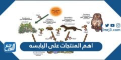 اهم المنتجات على اليابسه - 2025 2 اهم المنتجات على اليابسه