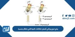 ينتج تنوع وراثي أفضل للكائنات الحية التي تتكاثر جنسيا. 2025 2 ينتج تنوع وراثي أفضل للكائنات الحية التي تتكاثر جنسيا.