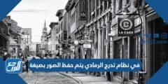 في نظام تدرج الرمادي يتم حفظ الصور بصيغة 2025 1 في نظام تدرج الرمادي يتم حفظ الصور بصيغة