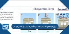 يكون اتجاه القوة العمودية دائما عمودياً على السطح الذي يلامس الجسم 2025 3 يكون اتجاه القوة العمودية دائما عمودياً على السطح الذي يلامس الجسم
