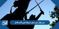 من اول من سل سيفا في الاسلام