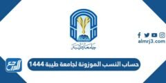 حساب النسب الموزونة لجامعة طيبة 1446 2025 1 حساب النسب الموزونة لجامعة طيبة 1446