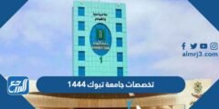 تخصصات جامعة تبوك ونسب القبول 1446