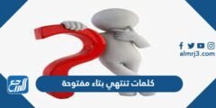 كلمات تنتهي بتاء مفتوحة - 2025 3 كلمات تنتهي بتاء مفتوحة