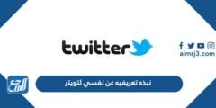 نبذه تعريفيه عن نفسي لتويتر 2025