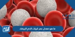 ما هو معدل عمر كريات الدم البيضاء 2025 3 ما هو معدل عمر كريات الدم البيضاء
