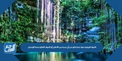 المياه الجوفية مياه عذبة تخلو من أي نسبة من الأملاح أو المواد الضارة بصحة الإنسان. 2025 3 المياه الجوفية مياه عذبة تخلو من أي نسبة من الأملاح أو المواد الضارة بصحة الإنسان.
