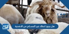 هل يجوز اعطاء غير المسلم من الاضحية 2025 1 هل يجوز اعطاء غير المسلم من الاضحية