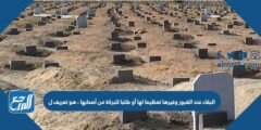البقاء عند القبور وغيرها تعظيما لها أو طلبا للبركة من أصحابها ، هو تعريف ل 2025 1 البقاء عند القبور وغيرها تعظيما لها أو طلبا للبركة من أصحابها ، هو تعريف ل