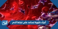 أجزاء خلوية تساعد على تجلط الدم 2025
