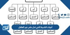 أدوات الشرط التي تدل على غير العاقل 2025 2 أدوات الشرط التي تدل على غير العاقل