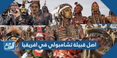 أصل قبيلة تشامبولي في افريقيا 2025 2 أصل قبيلة تشامبولي في افريقيا