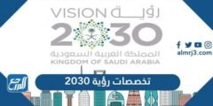 أفضل تخصصات رؤية 2030 - 2025 2 أفضل تخصصات رؤية 2030 - موقع المرجع