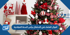 أقوال العلماء في الاحتفال برأس السنة الميلادية 2025 3 أقوال العلماء في الاحتفال برأس السنة الميلادية