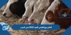 أسعار وأماكن بيع أضاحي العيد 2022 في الاردن