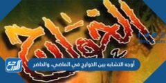أوجه التشابه بين الخوارج في الماضي، والحاضر 2025 2 أوجه التشابه بين الخوارج في الماضي، والحاضر
