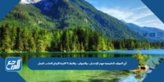 أي الموارد الطبيعية مهم للإنسان ، والحيوان ، والنبات؟ التربة الزجاج الخشب الرمل 2025 3 أي الموارد الطبيعية مهم للإنسان ، والحيوان ، والنبات؟ التربة الزجاج الخشب الرمل