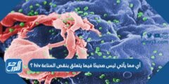 أي مما يأتي ليس صحيحًا فيما يتعلق بنقص المناعة hiv ؟ 2025 3 أي مما يأتي ليس صحيحًا فيما يتعلق بنقص المناعة hiv ؟