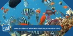 إذا كان عدد الأسماك في إحدى البحيرات ٣٤٠٠ سمكة، ١٠٪ منها من نوع الهامور 2025