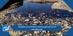 ابحث في الصحف اليوميه او المجلات او مكتبه المدرسه عن موضوع فكرته الرئيسيه تلوث المياه 2025 1 ابحث في الصحف اليوميه او المجلات او مكتبه المدرسه عن موضوع فكرته الرئيسيه تلوث المياه