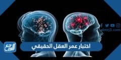 رابط اختبار عمر العقل الحقيقي