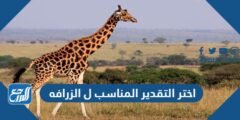 اختر التقدير المناسب ل الزرافه 2025 1 اختر التقدير المناسب ل الزرافه