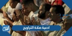 ادعية صلاة التراويح مكتوبة 1446 اجمل 50 دعاء في صلاة التراويح 2025 3 ادعية صلاة التراويح مكتوبة 1445 اجمل 50 دعاء في صلاة التراويح 2024
