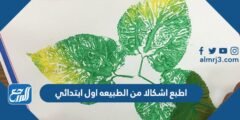 اطبع اشكالا من الطبيعه اول ابتدائي 2025 1 اطبع اشكالا من الطبيعه اول ابتدائي
