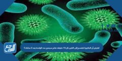 افترض أن البكتيريا تنقسم إلى اثنتين كل ١٥ دقيقة، فكم سيصبح عدد الواحدة بعد ٣ ساعات؟