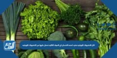اكل الخضروات الورقية مفيد لصحة الإنسان أي المواد التالية نحصل عليها 2025 2 اكل الخضروات الورقية مفيد لصحة الإنسان أي المواد التالية نحصل عليها