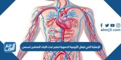 الإصابة التي تجعل الأوعية الدموية تنفجر تحت الجلد المتضرر تسمى 2025 1 الإصابة التي تجعل الأوعية الدموية تنفجر تحت الجلد المتضرر تسمى