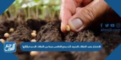 حل سؤال الانتشار مفيد للنباتات البذرية، لأنه يمنع التنافس فيما بين النباتات الجديدة وآبائها. 2025 2 حل سؤال الانتشار مفيد للنباتات البذرية، لأنه يمنع التنافس فيما بين النباتات الجديدة وآبائها.